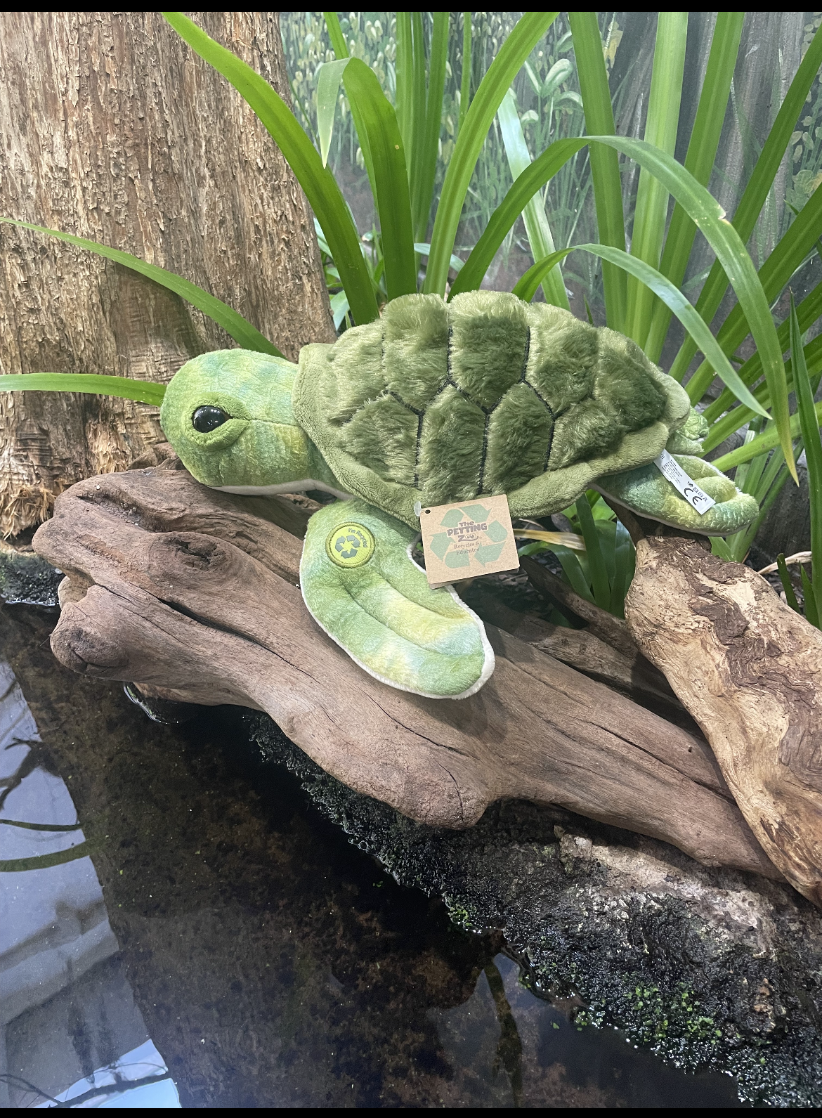Alabama Aquarium Sea Turtle Plush