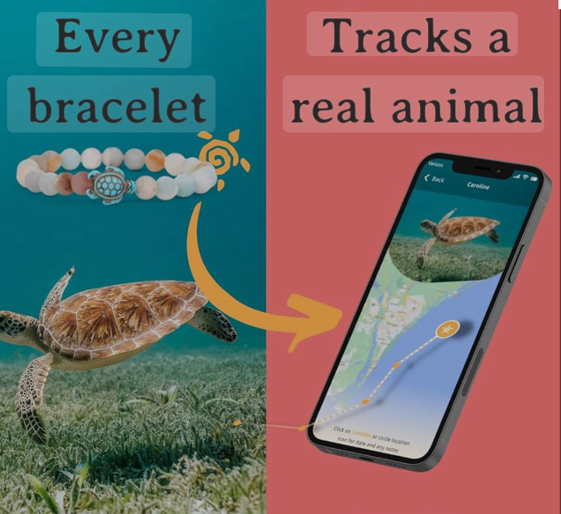 Fahlo Tracking Bracelet