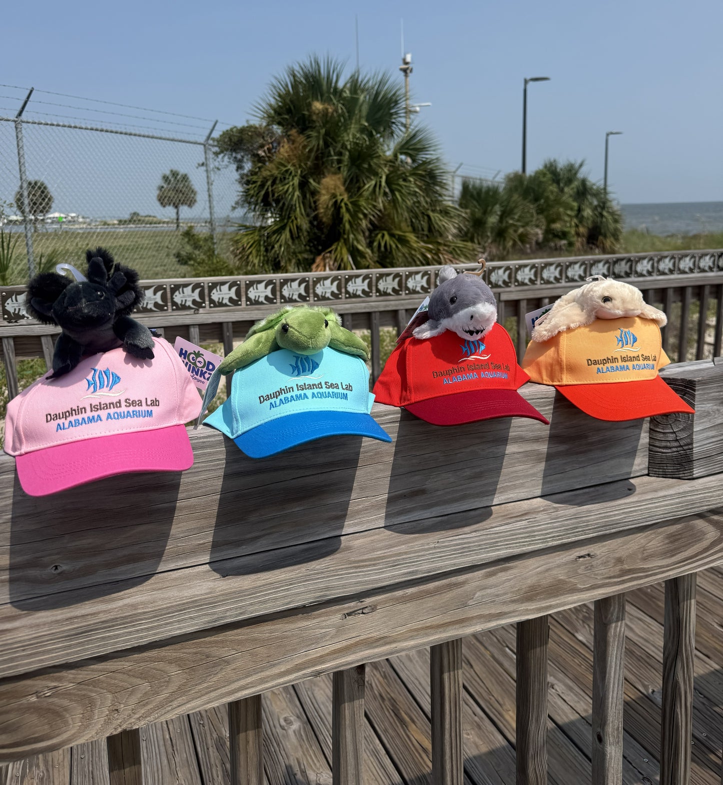 Sea Cap Critters
