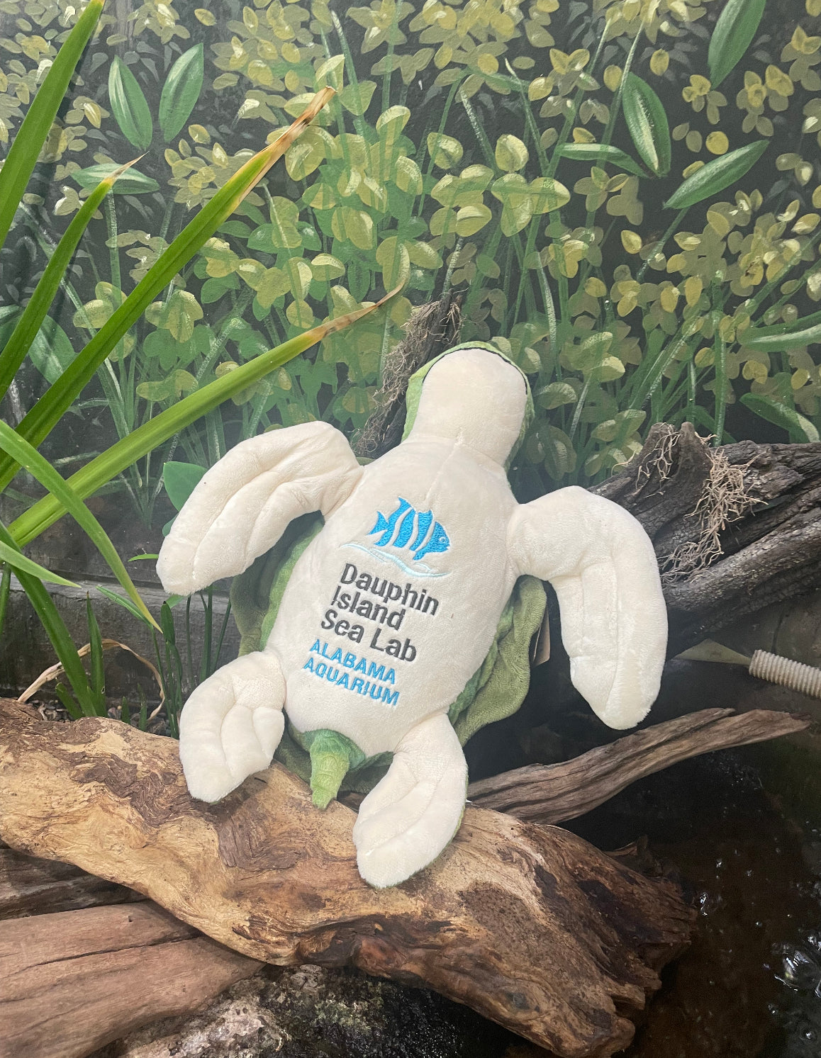Alabama Aquarium Sea Turtle Plush