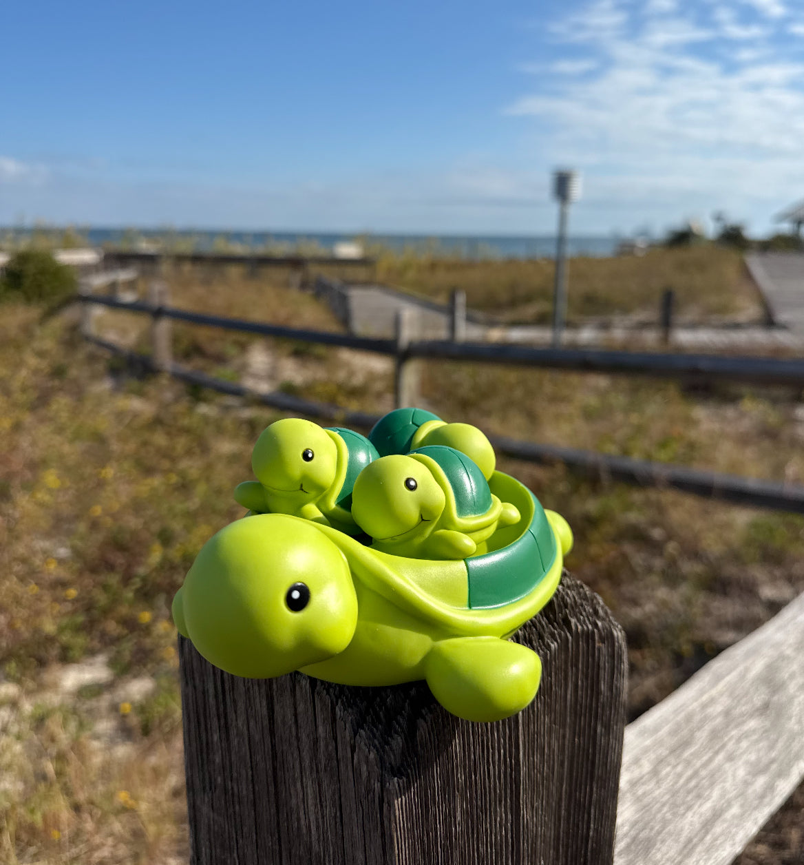 Bath Toy/Turtle