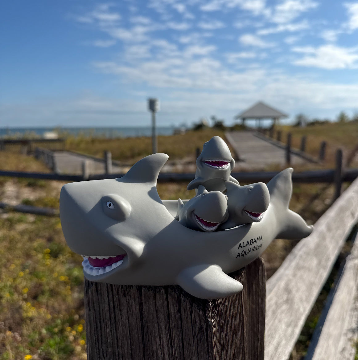 Bath Toy/Shark