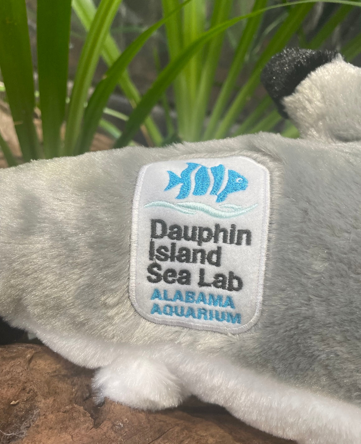 Dauphin Island Sea Lab Black Tip Shark Plush