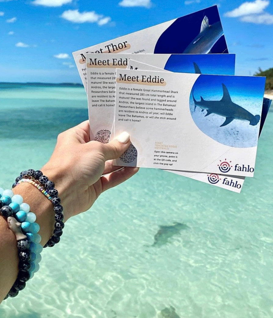 Fahlo Tracking Bracelet