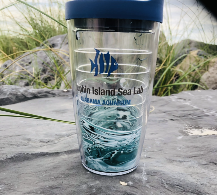 Tervis/16 Oz Clear Disl